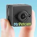 Mr Petcam